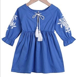 Blue Toddler Dress with embroidery